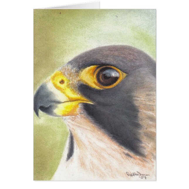Peregrine Falcon-kaart (Voorkant)