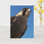 Peregrine Falcon Kaart (Gele Bloem)