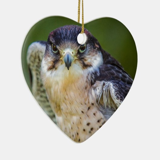 Peregrine Falcon Keramisch Ornament (Rechts)