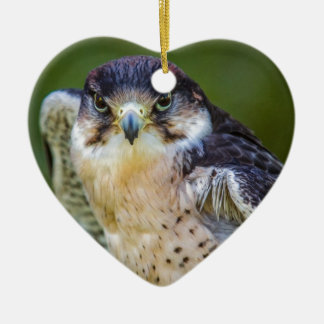 Peregrine Falcon Keramisch Ornament