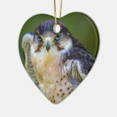 Peregrine Falcon Keramisch Ornament (Links)
