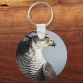 Peregrine Falcon Keyring Sleutelhanger (Voorkant)