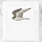 Peregrine Falcon-kleurige potloodtekening Rechthoekige Sticker (Tas)