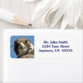 Peregrine Falcon Label (Insitu)