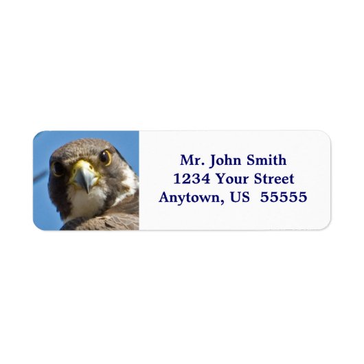 Peregrine Falcon Label (Voorkant)