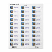 Peregrine Falcon Label (Full Sheet)