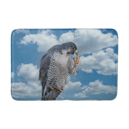 Peregrine Falcon langs de Hudson rivier Badmat (Voorkant)