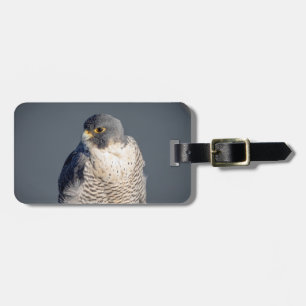 Peregrine Falcon langs de Hudson rivier Bagagelabel