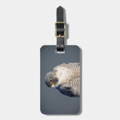 Peregrine Falcon langs de Hudson rivier Bagagelabel (Voorkant verticaal)