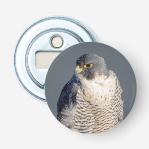 Peregrine Falcon langs de Hudson rivier Button Flesopener