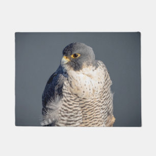 Peregrine Falcon langs de Hudson rivier Deurmat