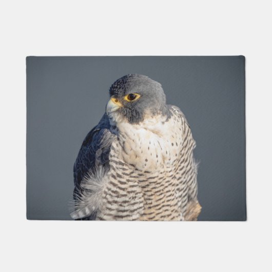 Peregrine Falcon langs de Hudson rivier Deurmat (Voorkant)
