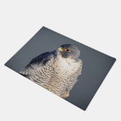 Peregrine Falcon langs de Hudson rivier Deurmat (Schuin)