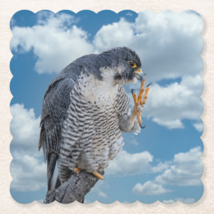 Peregrine Falcon langs de Hudson rivier Kartonnen Onderzetters