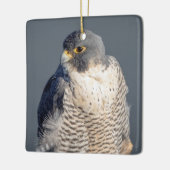 Peregrine Falcon langs de Hudson rivier Keramisch Ornament (Links)