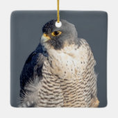 Peregrine Falcon langs de Hudson rivier Keramisch Ornament (Achterkant)