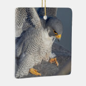 Peregrine Falcon langs de Hudson rivier Keramisch Ornament (Rechts)
