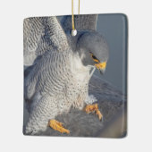 Peregrine Falcon langs de Hudson rivier Keramisch Ornament (Links)