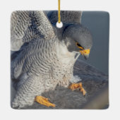 Peregrine Falcon langs de Hudson rivier Keramisch Ornament (Achterkant)