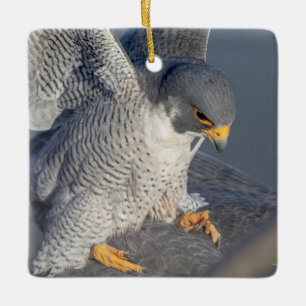 Peregrine Falcon langs de Hudson rivier Keramisch Ornament