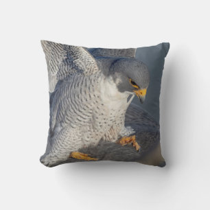 Peregrine Falcon langs de Hudson rivier Kussen