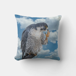 Peregrine Falcon langs de Hudson rivier Kussen