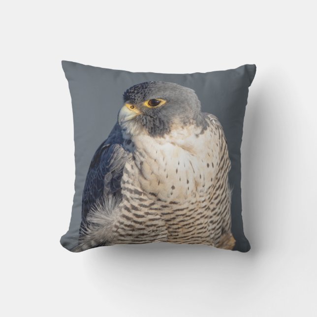 Peregrine Falcon langs de Hudson rivier Kussen (Voorkant)