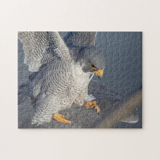 Peregrine Falcon langs de Hudson rivier Legpuzzel (Horizontaal)