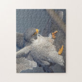 Peregrine Falcon langs de Hudson rivier Legpuzzel (Verticaal)