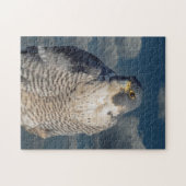Peregrine Falcon langs de Hudson rivier Legpuzzel (Horizontaal)