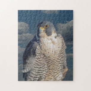 Peregrine Falcon langs de Hudson rivier Legpuzzel