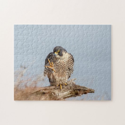 Peregrine Falcon langs de Hudson rivier Legpuzzel (Horizontaal)