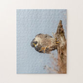 Peregrine Falcon langs de Hudson rivier Legpuzzel (Verticaal)