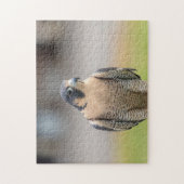 Peregrine Falcon langs de Hudson rivier Legpuzzel (Verticaal)