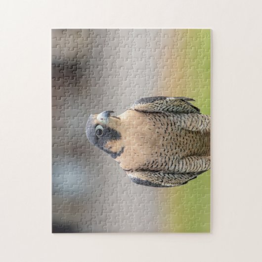 Peregrine Falcon langs de Hudson rivier Legpuzzel (Verticaal)