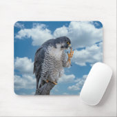 Peregrine Falcon langs de Hudson rivier Muismat (Met muis)