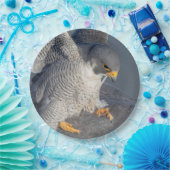 Peregrine Falcon langs de Hudson rivier Papieren Bordje (Feest)