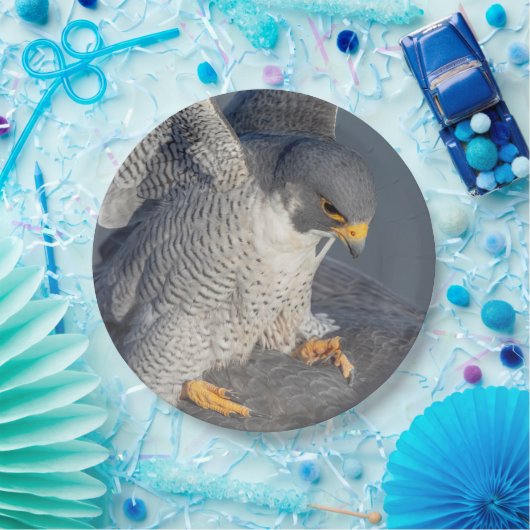 Peregrine Falcon langs de Hudson rivier Papieren Bordje (Feest)