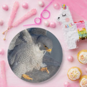 Peregrine Falcon langs de Hudson rivier Papieren Bordje (Feest)