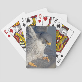 Peregrine Falcon langs de Hudson rivier Pokerkaarten