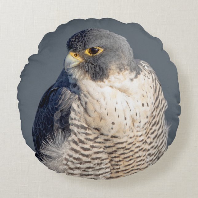 Peregrine Falcon langs de Hudson rivier Rond Kussen (Voorkant)