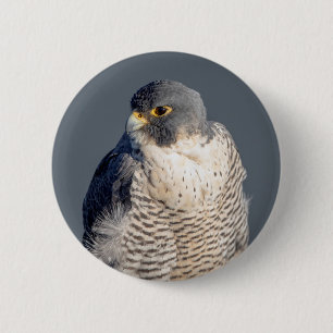 Peregrine Falcon langs de Hudson rivier Ronde Button 5,7 Cm