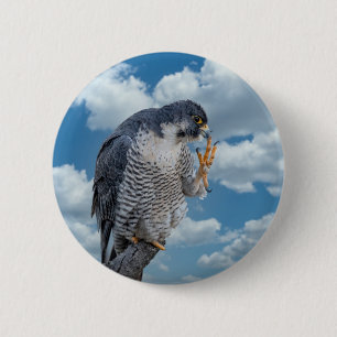 Peregrine Falcon langs de Hudson rivier Ronde Button 5,7 Cm