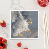 Peregrine Falcon langs de Hudson rivier Servet (Insitu)