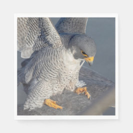 Peregrine Falcon langs de Hudson rivier Servet