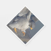 Peregrine Falcon langs de Hudson rivier Servet (Hoek)