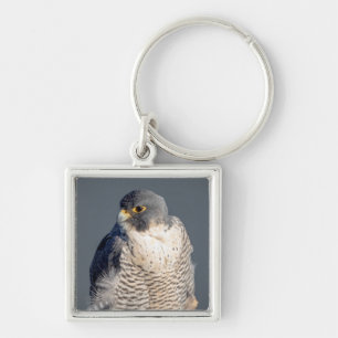 Peregrine Falcon langs de Hudson rivier Sleutelhanger