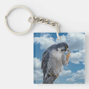 Peregrine Falcon langs de Hudson rivier Sleutelhanger