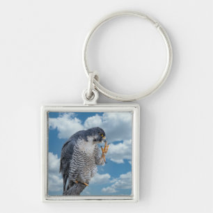 Peregrine Falcon langs de Hudson rivier Sleutelhanger