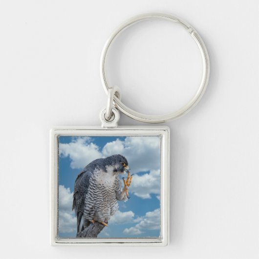 Peregrine Falcon langs de Hudson rivier Sleutelhanger (Voorkant)